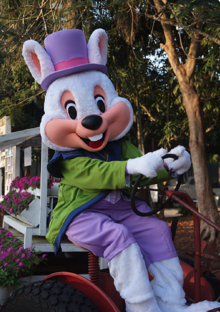 Mr. Bunny mascot available for kids parties