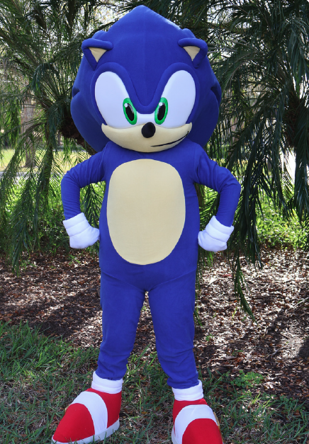 Sonic mascot available for kids parties