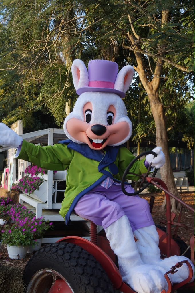 Easter bunny character waving on a vintage tractor